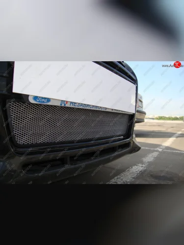 Защитная сетка радиатора в бампер (ячейка 3х7 мм) Стрелка11 Стандарт (хром) Ford Focus 3 хэтчбэк дорестайлинг (2010-2015)