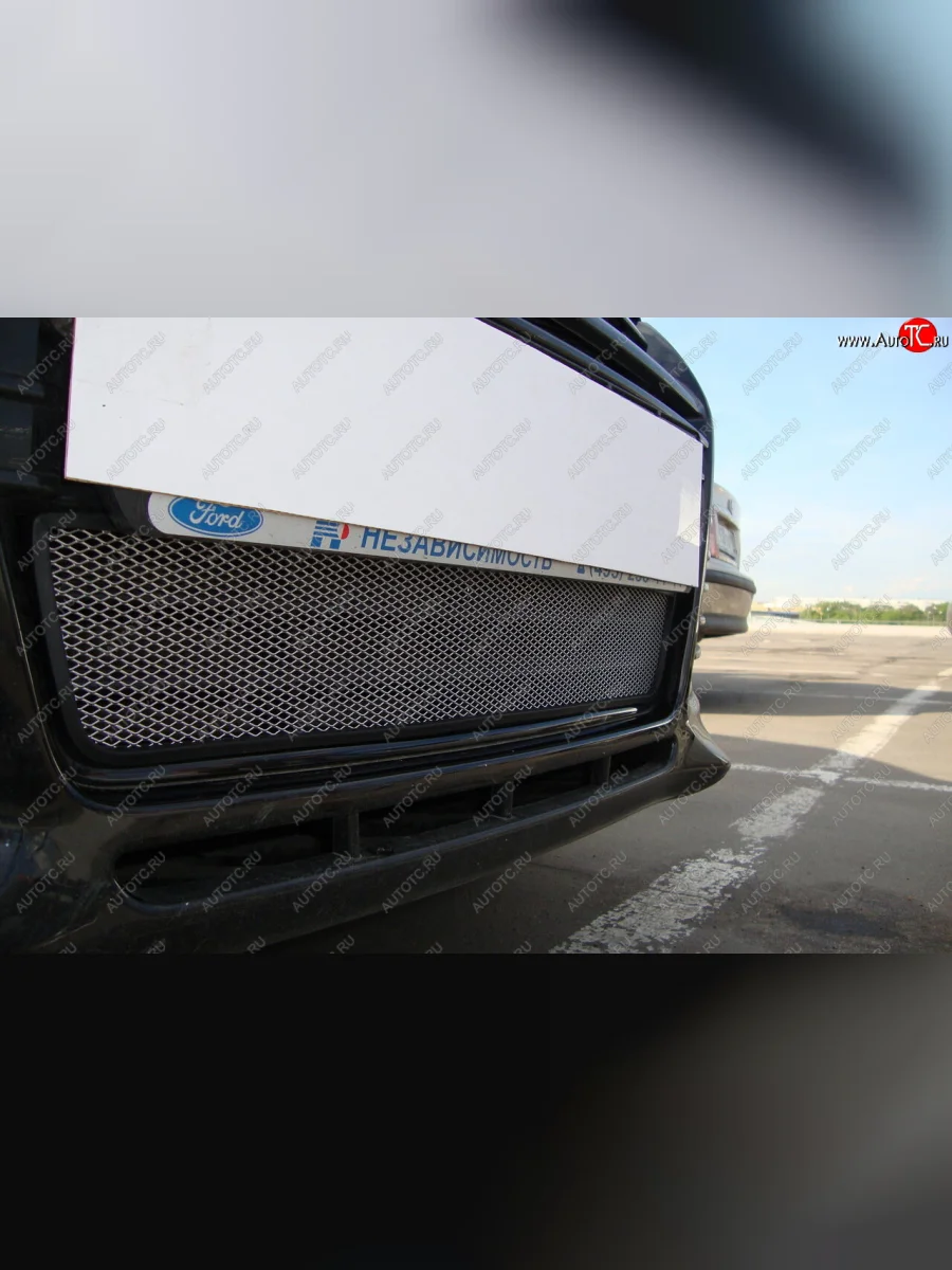 Защитная сетка радиатора в бампер (ячейка 3х7 мм) Стрелка11 Стандарт Ford Focus 3 хэтчбэк дорестайлинг (2010-2015) (хром)  с доставкой в г. Пермь