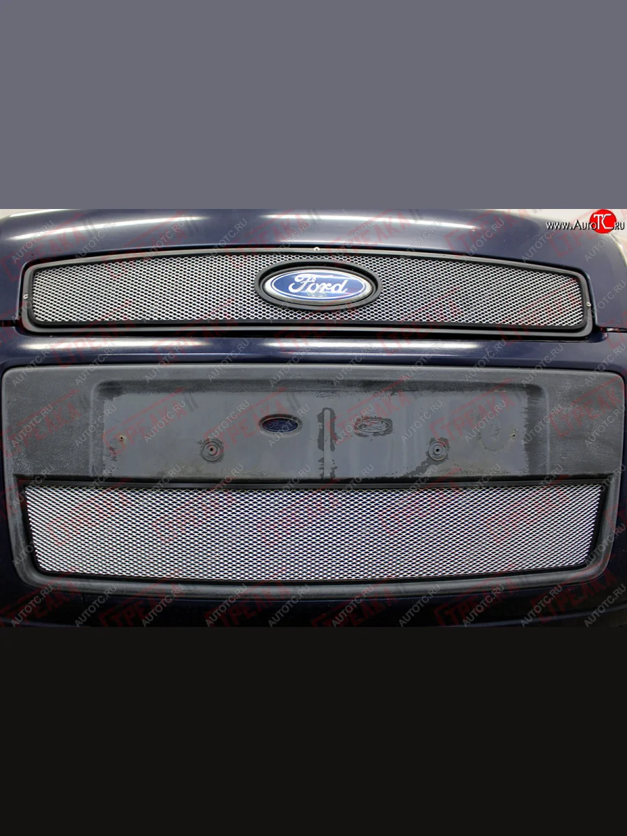 Защитная сетка в решетку радиатора (ячейка 3х7 мм) Стрелка11 Стандарт  Ford Fusion (2005-2012) 1 (хром)  в Воронеже Воронежской области