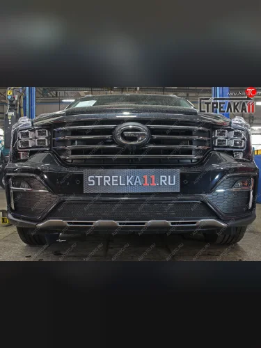 Защитная сетка радиатора в бампер (ячейка 3х7 мм, GEGL) Стрелка11 Стандарт (черная) GAC GS8 (2016-2023)