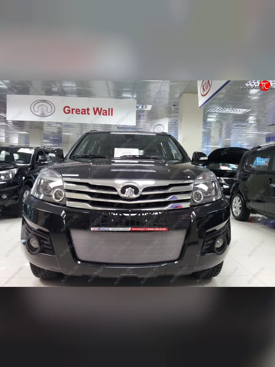 Защитная сетка радиатора в бампер (ячейка 3х7 мм) Стрелка 11 Стандарт Great Wall Hover H3  дорестайлинг (2010-2014) (хром)  с доставкой в г. Керчь