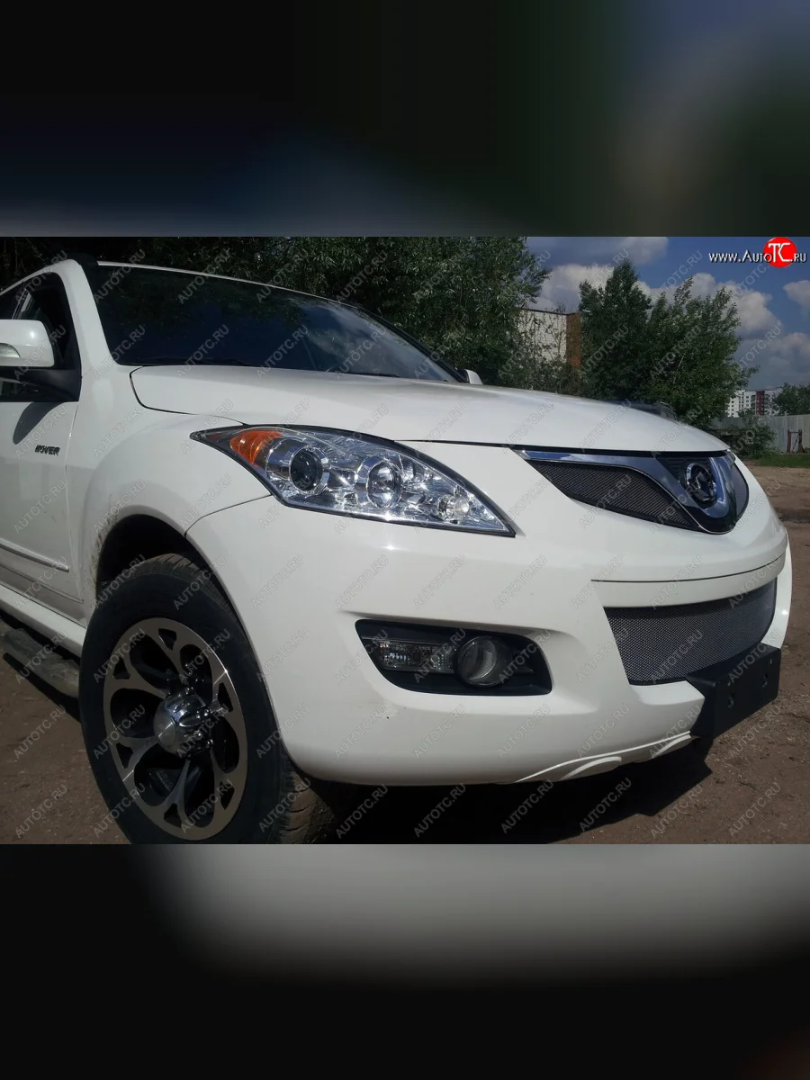 Защитная сетка радиатора в бампер (ячейка 3х7 мм, низ) Стрелка11 Стандарт Great Wall Hover H5 (2010-2017) (черная)  с доставкой в г. Пермь