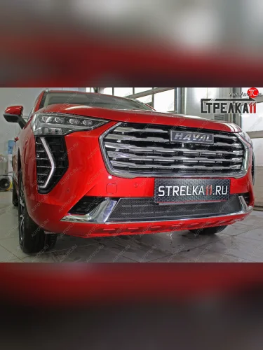 Защитная сетка радиатора в бампер (ячейка 3х7 мм) Стрелка11 Стандарт (черная) Haval Jolion дорестайлинг (2020-2024)