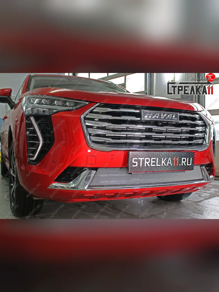 Защитная сетка радиатора в бампер (ячейка 3х7 мм) Стрелка11 Стандарт Haval Jolion дорестайлинг (2020-2024) (хром)  в Перми Пермском крае