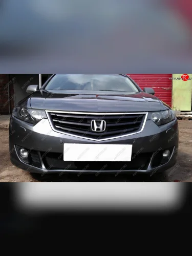 Защитная сетка радиатора в бампер (ячейка 3х7 мм) Стрелка11 Стандарт (черная) Honda Accord 8 CU седан дорестайлинг (2008-2011)