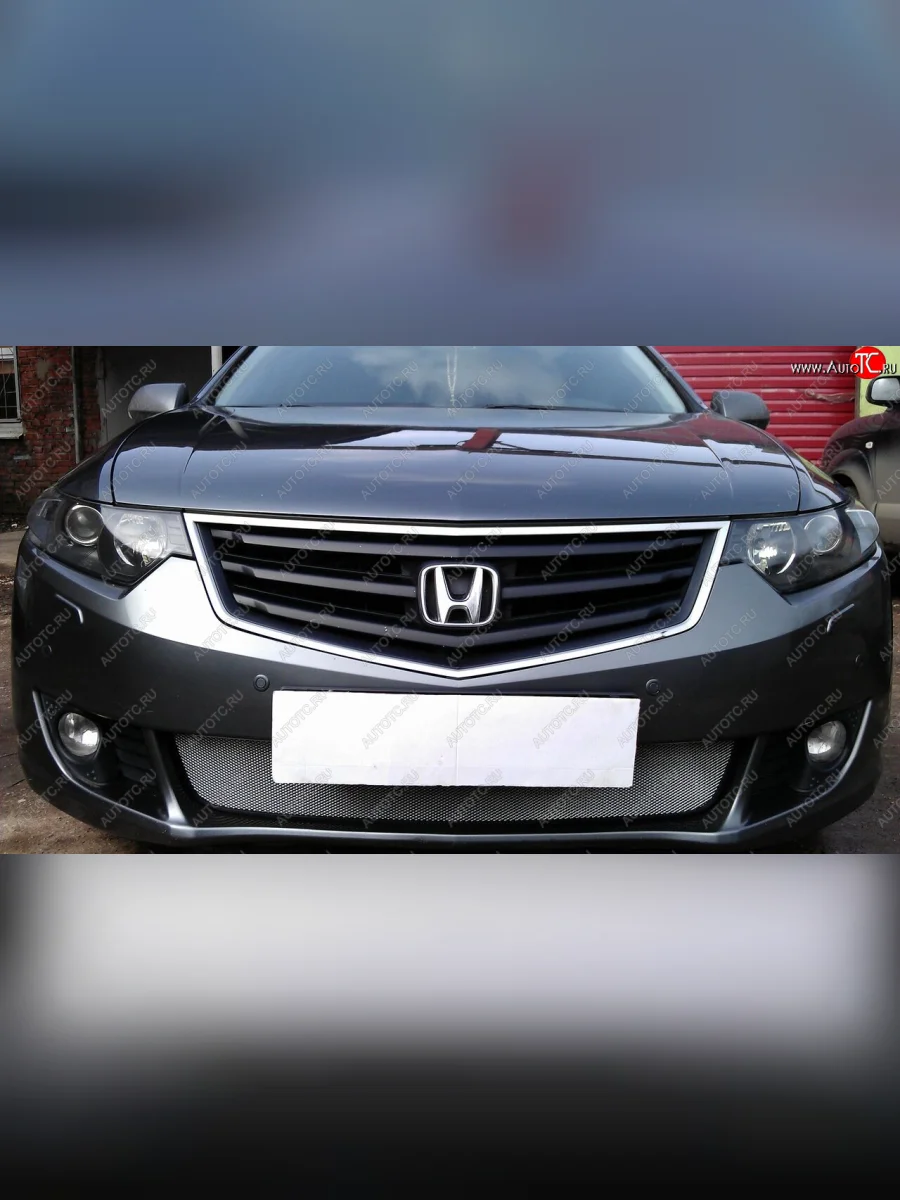 Защитная сетка радиатора в бампер (ячейка 3х7 мм) Стрелка11 Стандарт Honda Accord 8 CU седан дорестайлинг (2008-2011) (хром)  в Перми Пермском крае
