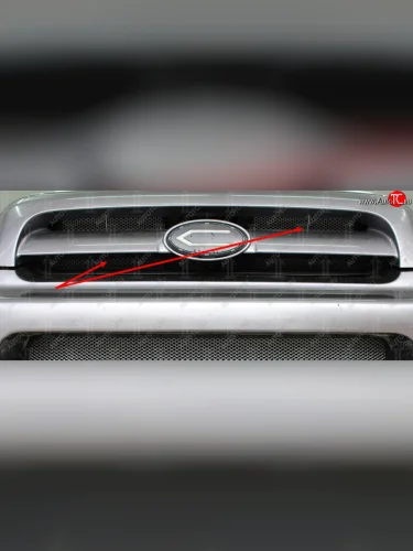 Защитная сетка в решетку радиатора (ячейка 3х7 мм, 2 части) Стрелка11 Стандарт (черная) Hyundai Santa Fe SM (2000-2012)