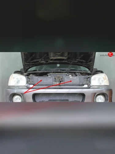 Защитная сетка в решетку радиатора (ячейка 3х7 мм, 2 части) Стрелка11 Стандарт (хром) Hyundai Santa Fe SM (2000-2012)