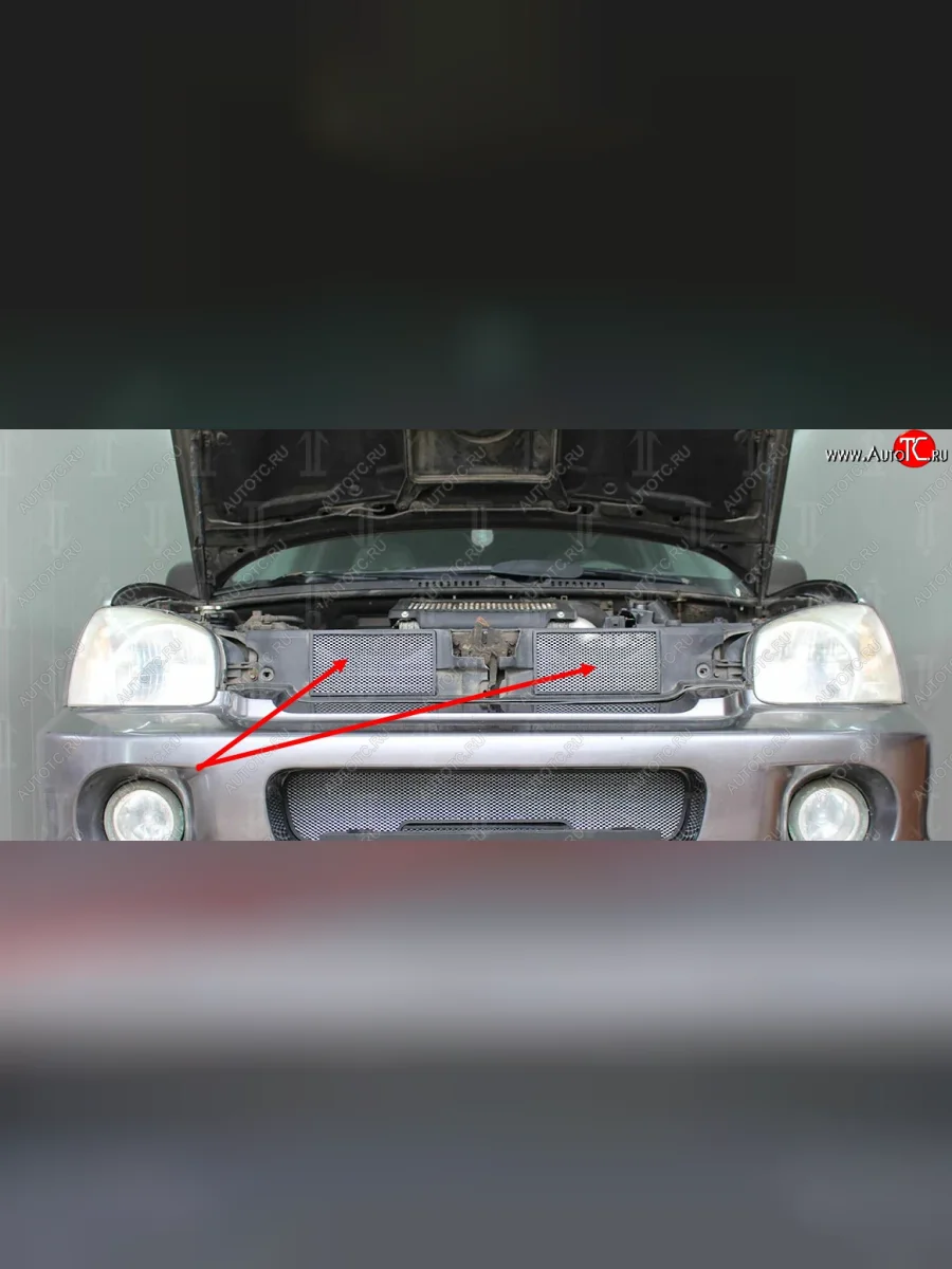 Защитная сетка в решетку радиатора (ячейка 3х7 мм, 2 части) Стрелка11 Стандарт Hyundai Santa Fe SM (2000-2012) (хром)  в Керчи Республика Крым