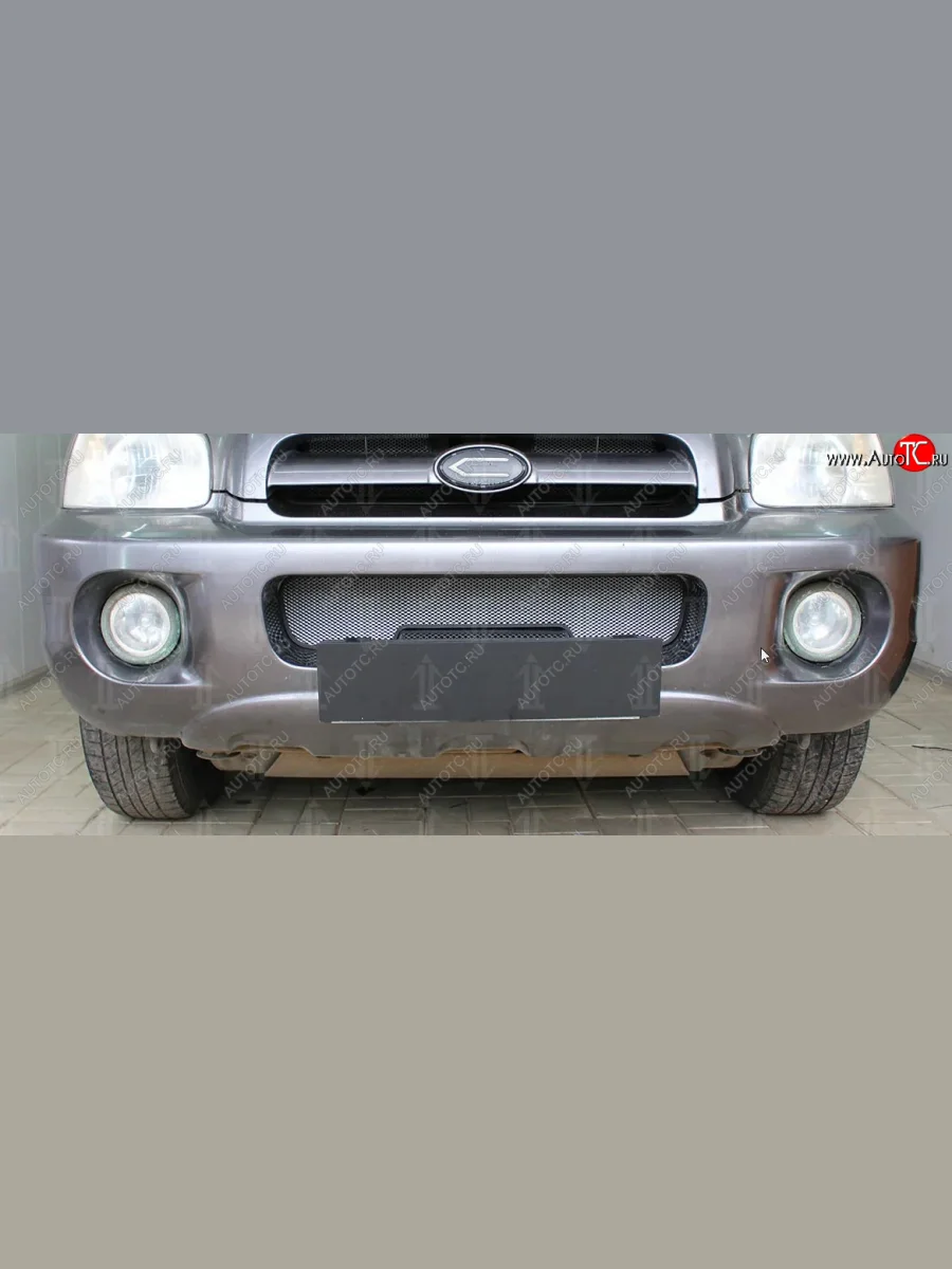 Защитная сетка радиатора в бампер (ячейка 3х7 мм) Стрелка11 Стандарт Hyundai Santa Fe SM (2000-2012) (хром)  в Керчи Республика Крым