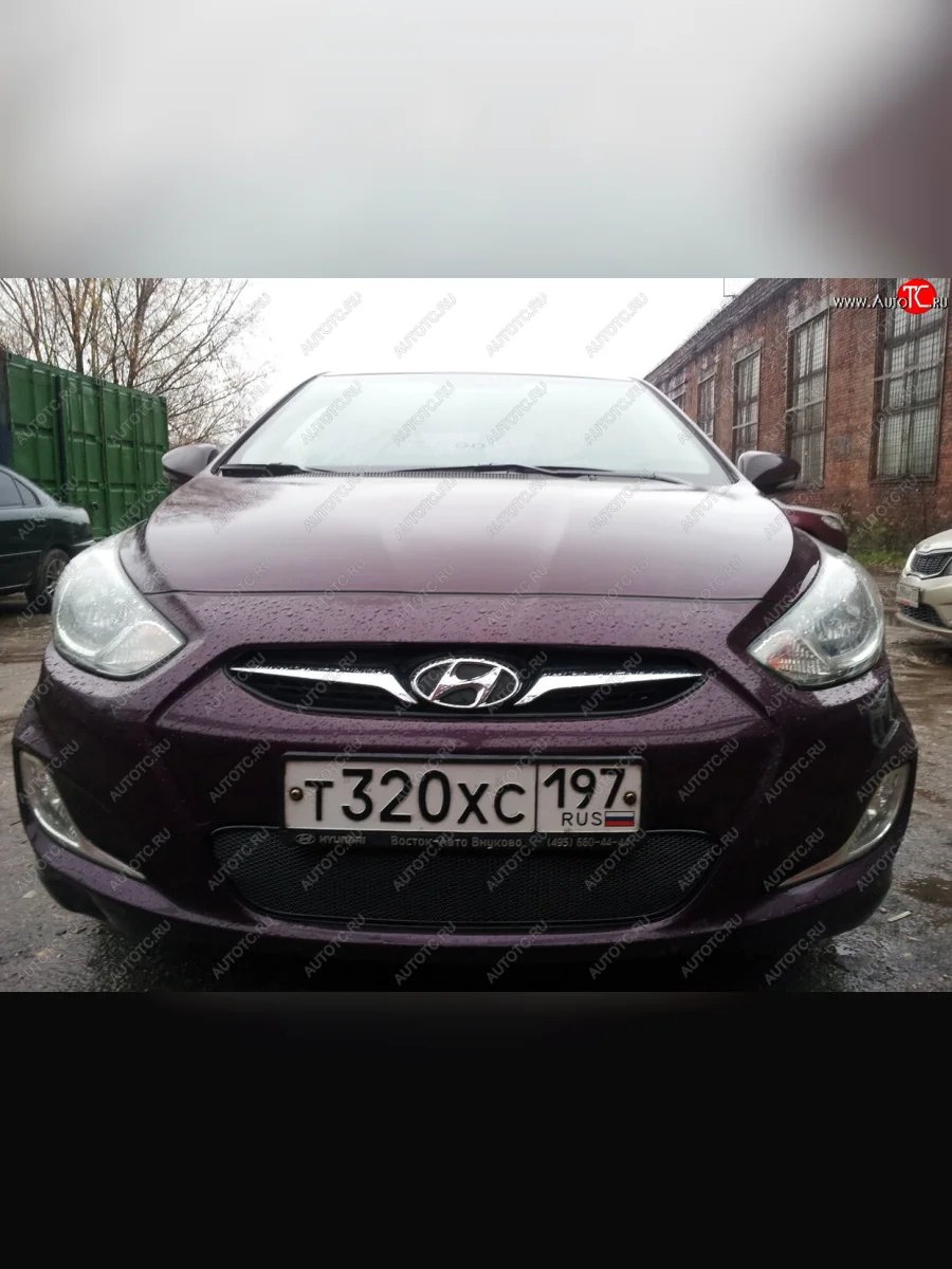 Защитная сетка радиатора в бампер (ячейка 4х10 мм, низ) Стрелка11 Премиум Hyundai Solaris RBr седан дорестайлинг (2010-2014) (черная)  с доставкой в г. Пермь