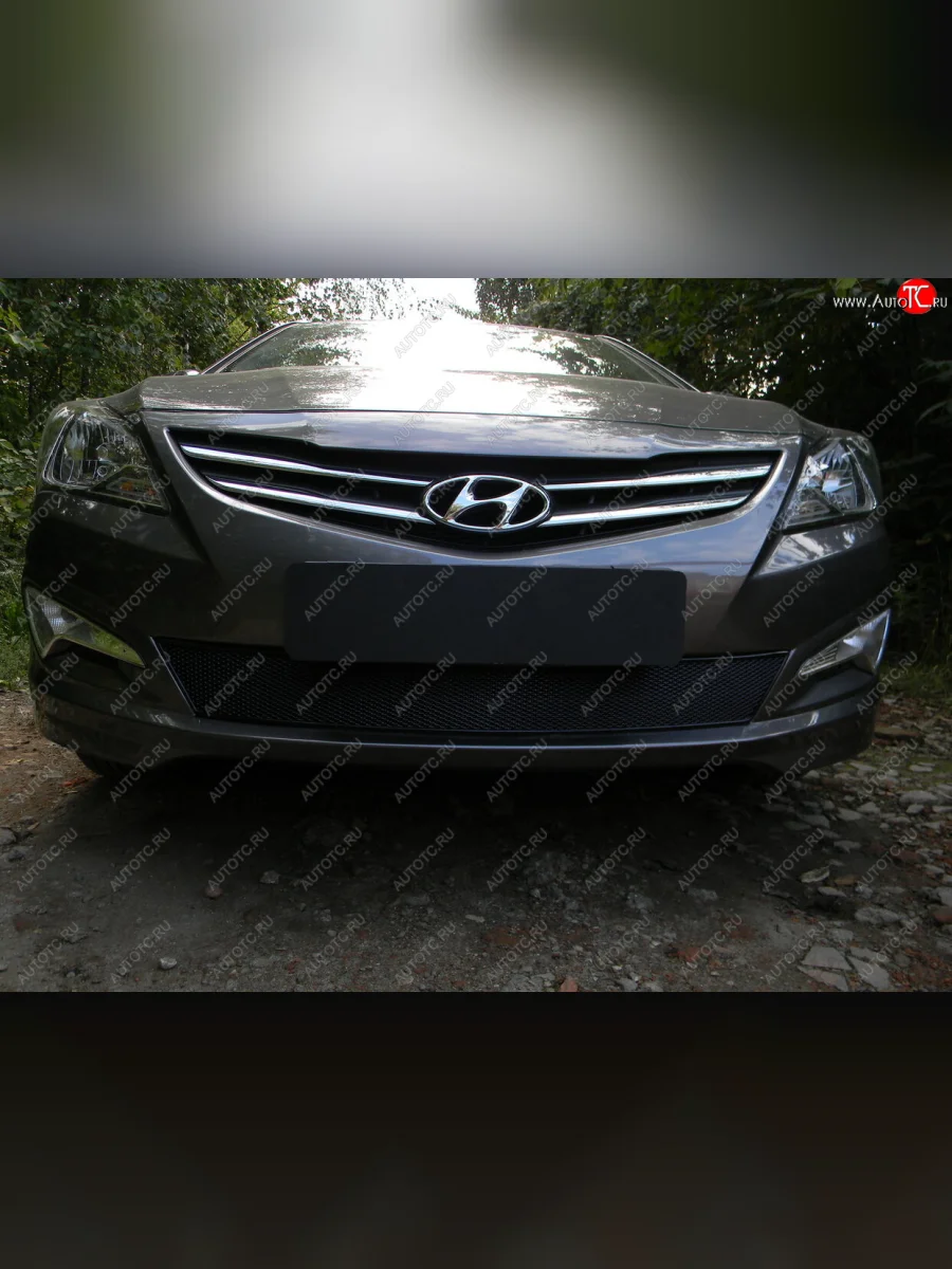 Защитная сетка радиатора в бампер (ячейка 4х10 мм) Стрелка11 Премиум Hyundai Solaris RBr хэтчбэк рестайлинг (2014-2017) (черная)  в Самаре Самарской области