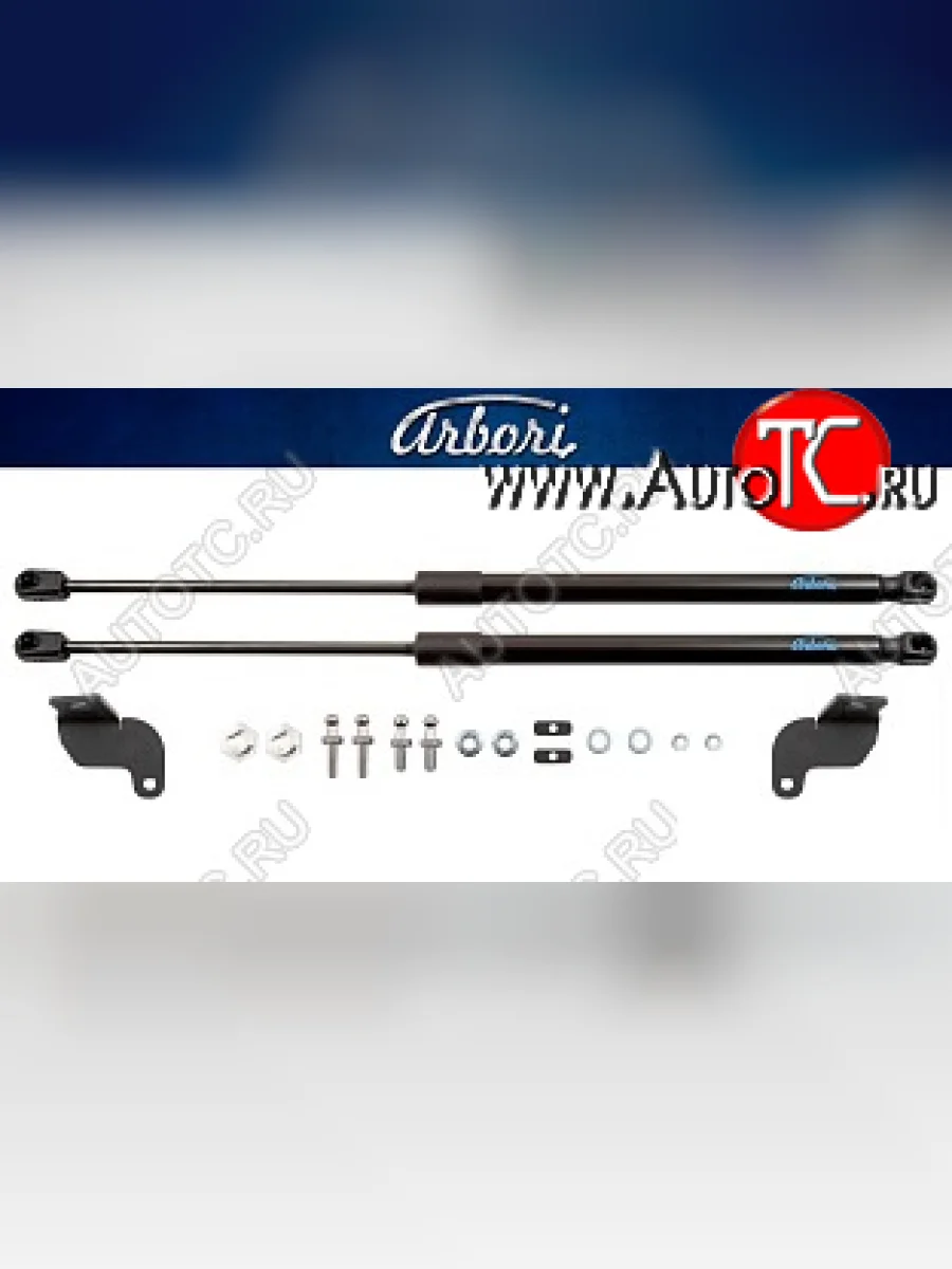 Комплект упоров капота Arbori  FAW Besturn X40 (2016-2022) D181  в Самаре Самарской области