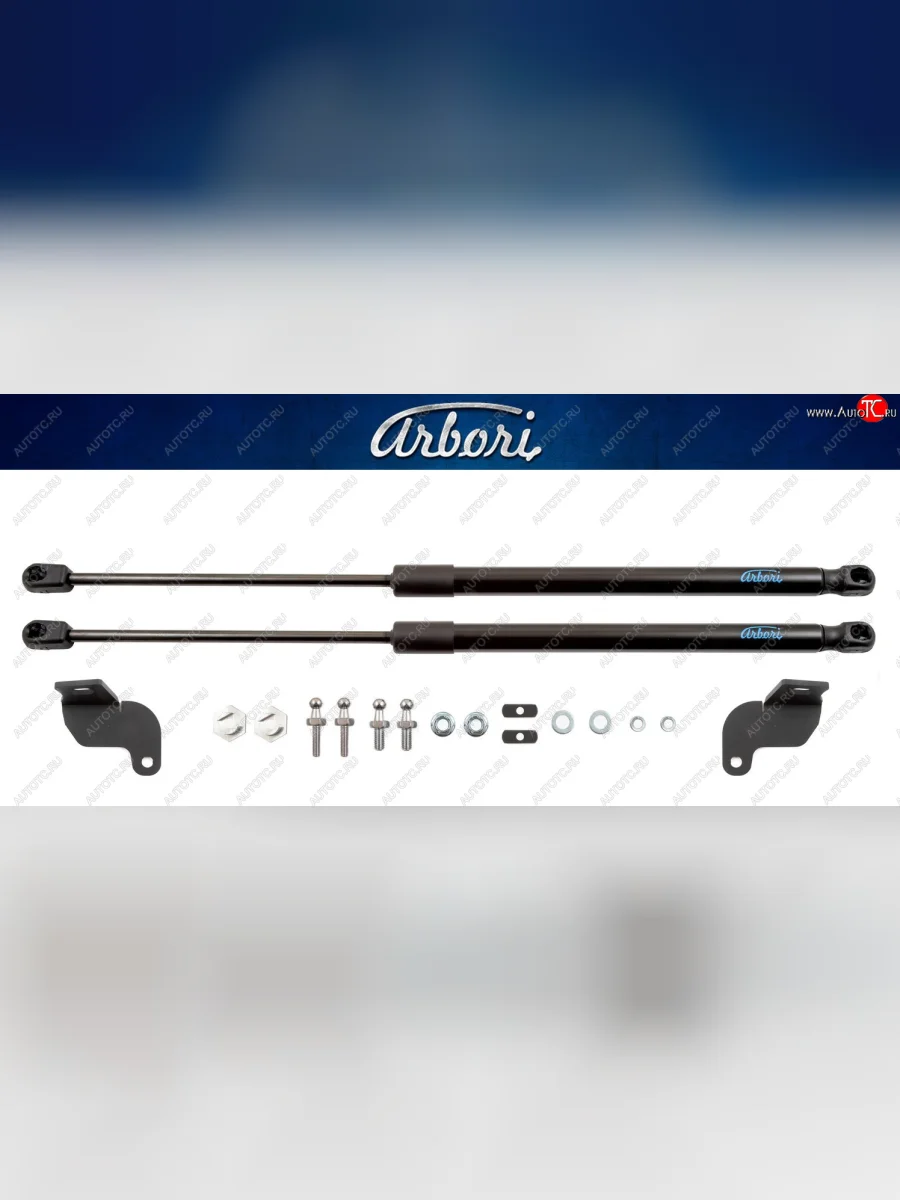 Комплект упоров капота Arbori Hyundai Solaris HCR седан рестайлинг (2020-2022)  с доставкой в г. Пермь