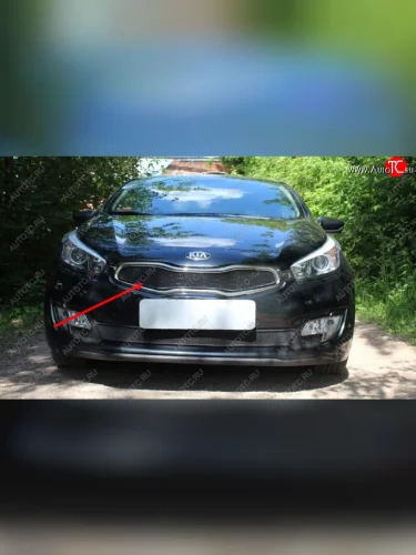 Защитная сетка радиатора в бампер (ячейка 3х7 мм, верх) Стрелка11 Стандарт (черная) KIA ProCeed 2 JD хэтчбэк 3 дв. дорестайлинг (2012-2015)