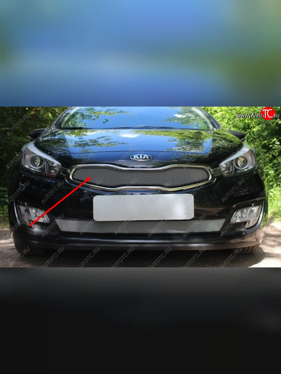 Защитная сетка радиатора в бампер (ячейка 3х7 мм, верх) Стрелка11 Стандарт KIA ProCeed 2 JD хэтчбэк 3 дв. дорестайлинг (2012-2015) (хром)  в Перми Пермском крае