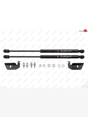 Упор капота Атланта Инжиниринг Ravon Nexia R3 (2016-2020)