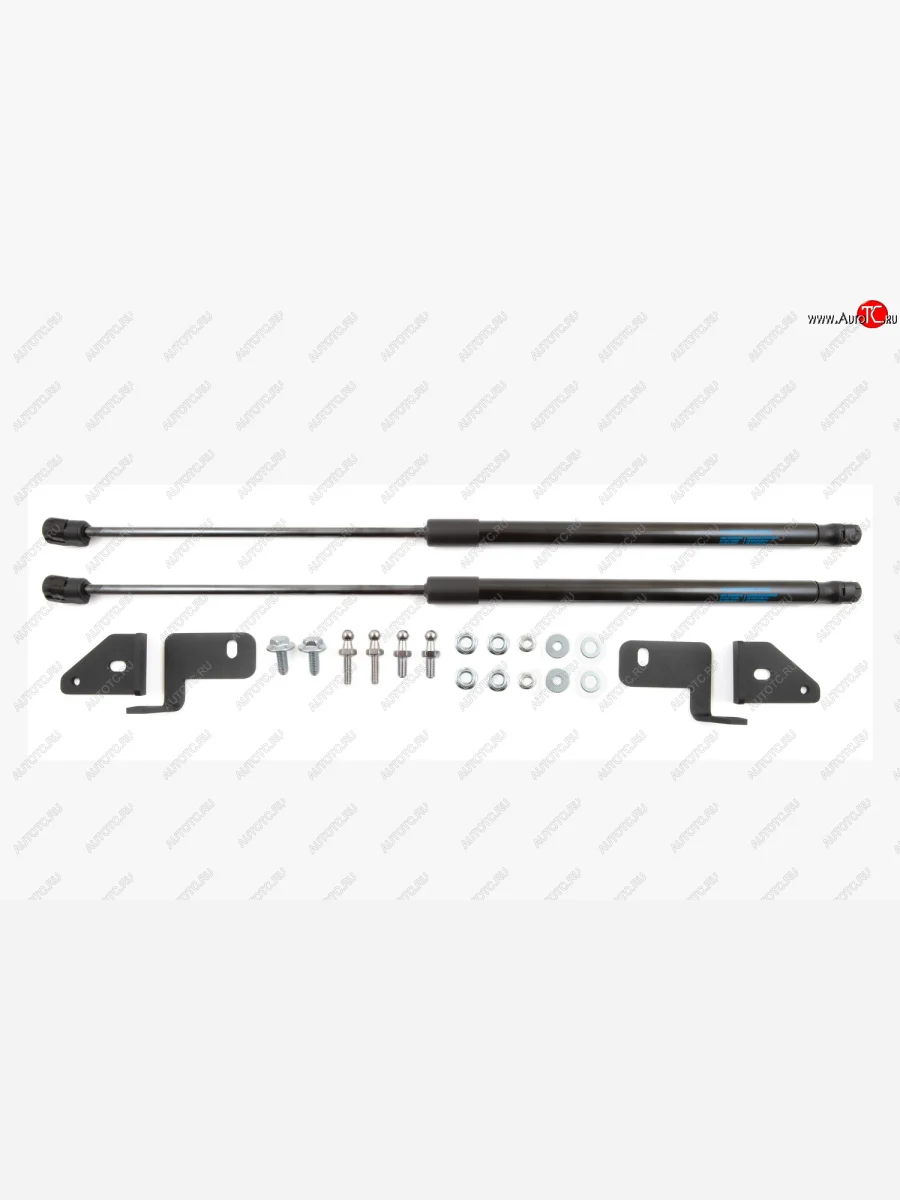 Упоры капота CHEVROLET  Chevrolet Cobalt (2019-2023), Ravon R4 (2016-2020)  с доставкой в г. Керчь