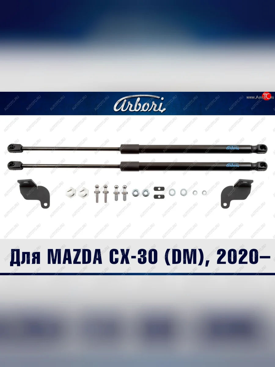 Упоры капота Arbori  Mazda CX-30 (2019-2025) 1 DM  с доставкой в г. Керчь