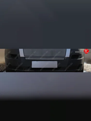 Защитная сетка в бампер (ячейка 3х7 мм, нижняя) Alfeco Стандарт (Хром) Fiat Ducato 250 (2006-2014)