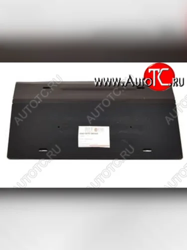 Защита радиатора (2.0D; 3.0D; 3.0; M4.0) Alfeco (Сталь 2 мм) BMW X4 G02 дорестайлинг (2018-2021)