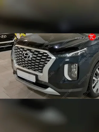 Дефлектор капота SIM Hyundai Palisade  LX2 (2018-2022)