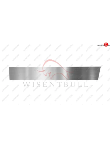 Ремкомплект левой двери Wisentbull BMW 3 серия  E30 (1981-1991) купе