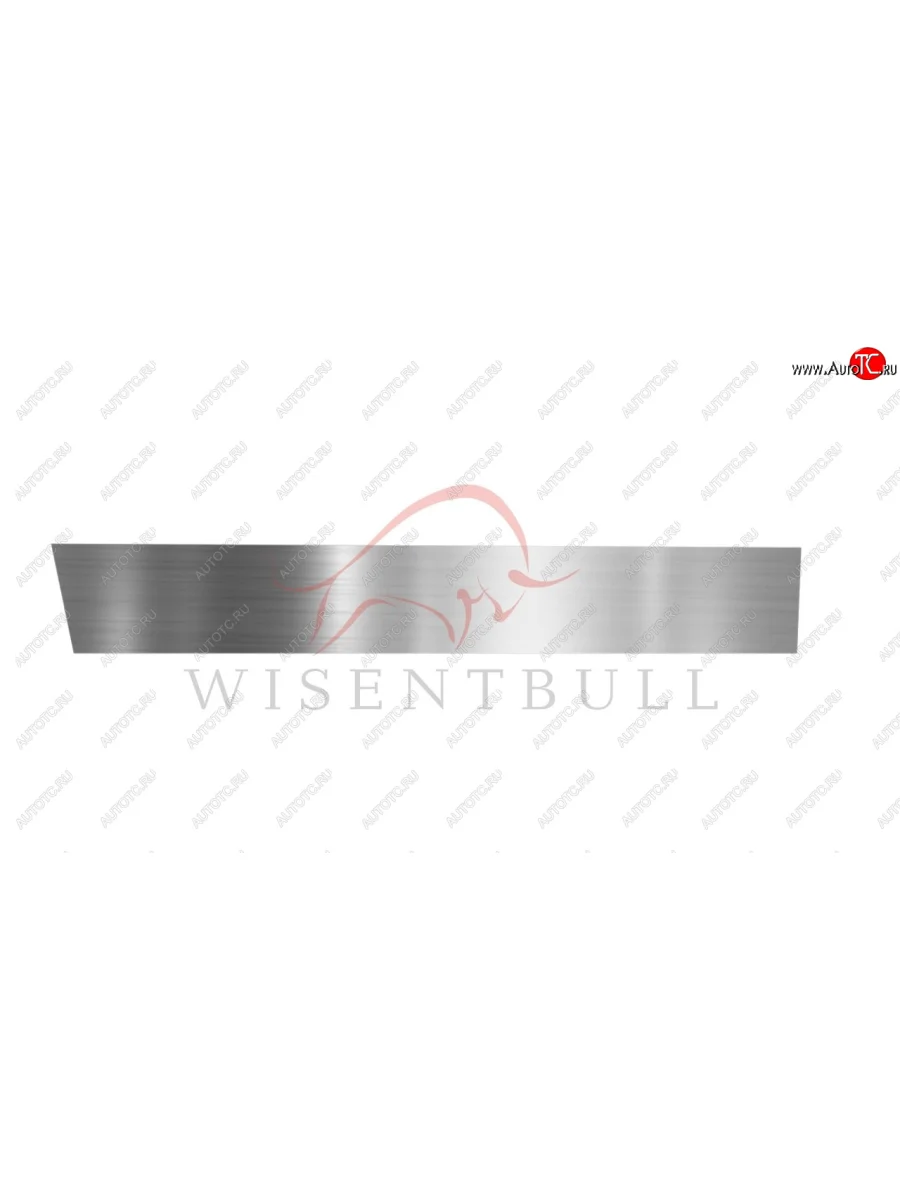 Ремкомплект правой двери Wisentbull  BMW 3 серия (1981-1991) E30  в Воронеже Воронежской области