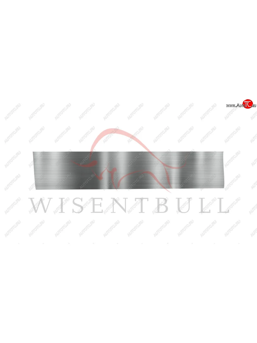 Ремкомплект левой двери Wisentbull  BMW 3 серия (2004-2012) E90  в Самаре Самарской области