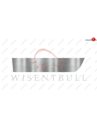 Ремкомплект левой двери Wisentbull BMW 3 серия  E92 (2005-2014) купе дорестайлинг, купе рестайлинг