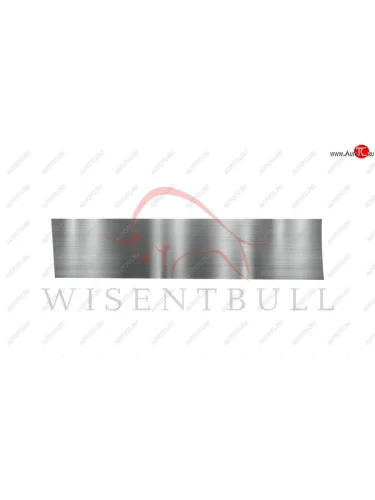 Ремкомплект левой двери Wisentbull BMW X5  E53 (1999-2006) дорестайлинг, рестайлинг