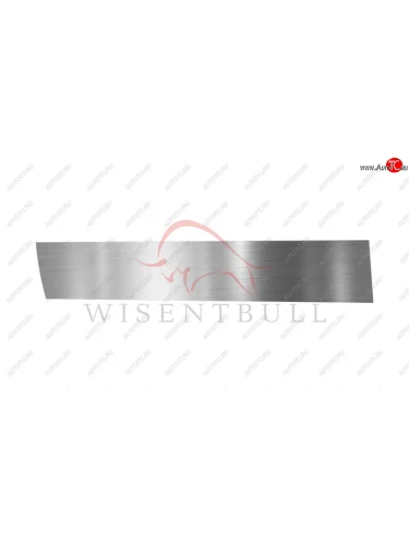 Ремкомплект левой двери Wisentbull BMW 5 серия  E39 (1995-2003) седан дорестайлинг, седан рестайлинг