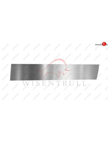 Ремкомплект правой двери Wisentbull BMW X5  E70 (2006-2013) дорестайлинг, рестайлинг