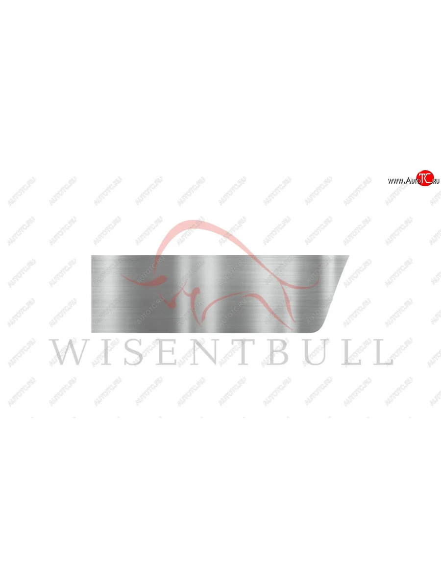 Ремкомплект левой двери Wisentbull  BMW X5 (2006-2013) E70  в Самаре Самарской области