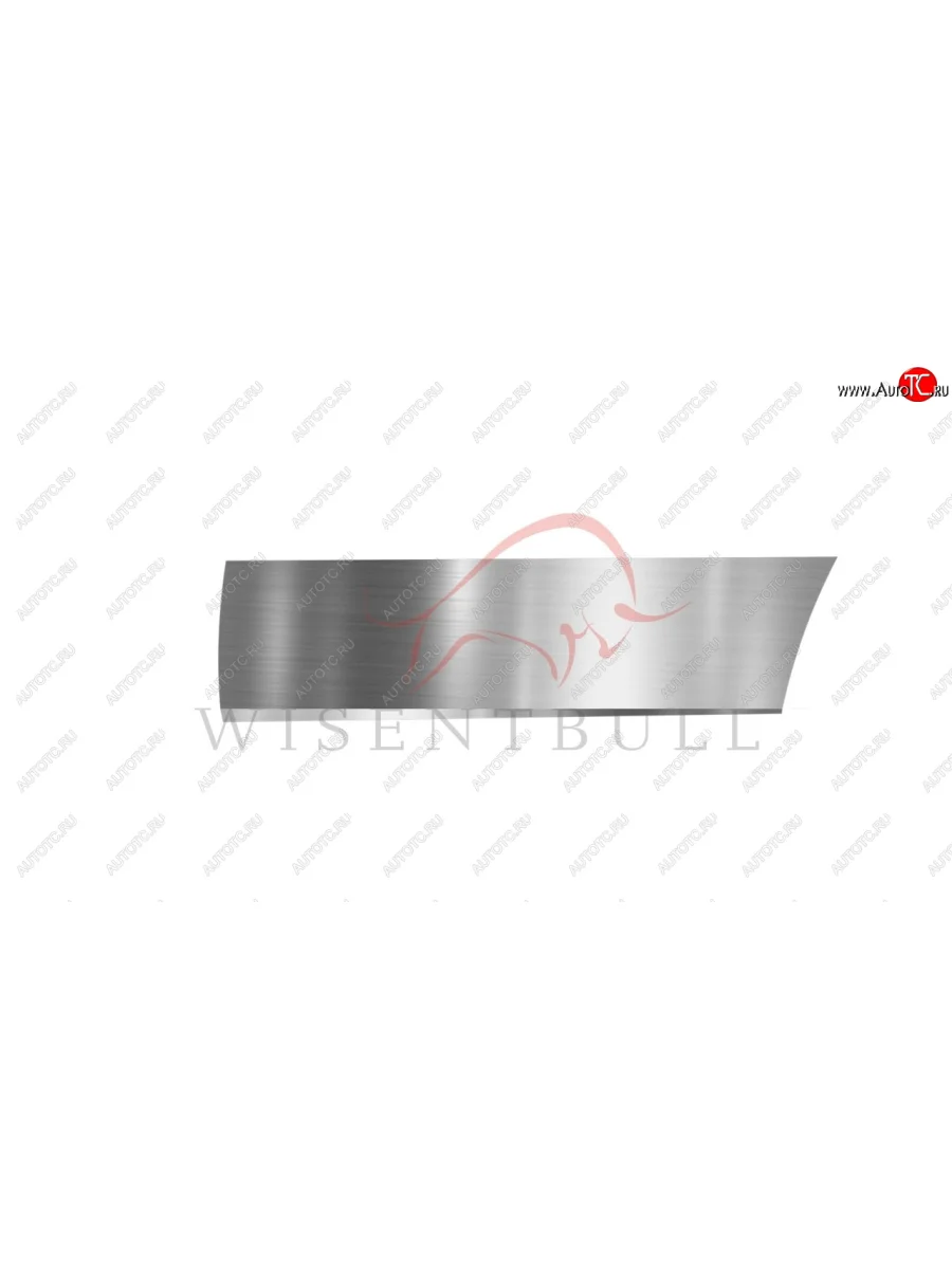 Ремкомплект правой двери Wisentbull Vortex Corda (2010-2013)  с доставкой в г. Пермь