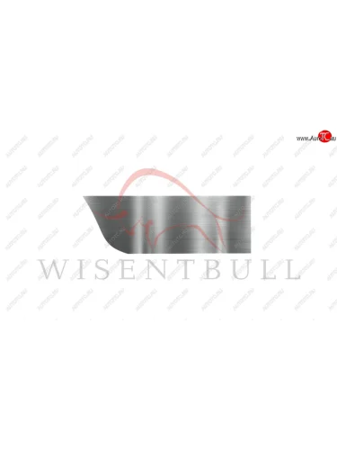 Ремкомплект левой двери Wisentbull Chevrolet Aveo  T200 (2003-2008), Chevrolet Kalos (2002-2008), Pontiac Wave  T200 (2004-2006)