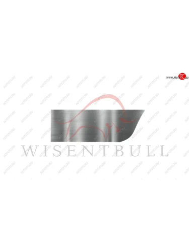 Ремкомплект правой двери Wisentbull Chevrolet Aveo  T200 (2003-2008), Chevrolet Kalos (2002-2008), Pontiac Wave  T200 (2004-2006)
