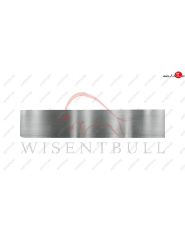 Ремкомплект левой двери Wisentbull Chevrolet Express ( GMT600,  GMT610) (1995-2014) дорестайлинг, рестайлинг