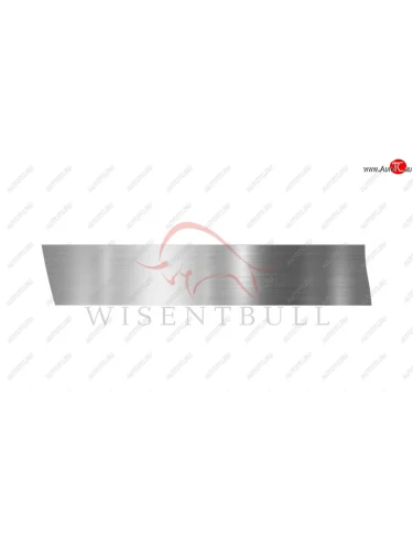 Ремкомплект левой двери Wisentbull Toyota Corolla  E110 - Sprinter Carib  3 E110