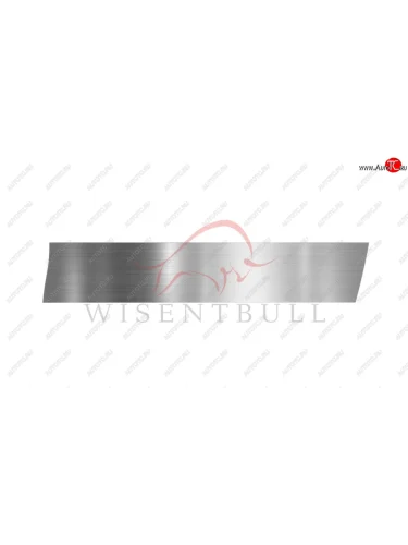 Ремкомплект правой двери Wisentbull Toyota Corolla  E110 - Sprinter Carib  3 E110