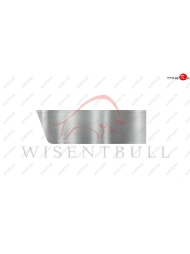 Ремкомплект правой двери Wisentbull Opel Vectra ( B,  В) (1995-2003) седан дорестайлинг, универсал дорестайлинг , седан рестайлинг, универсал рестайлинг
