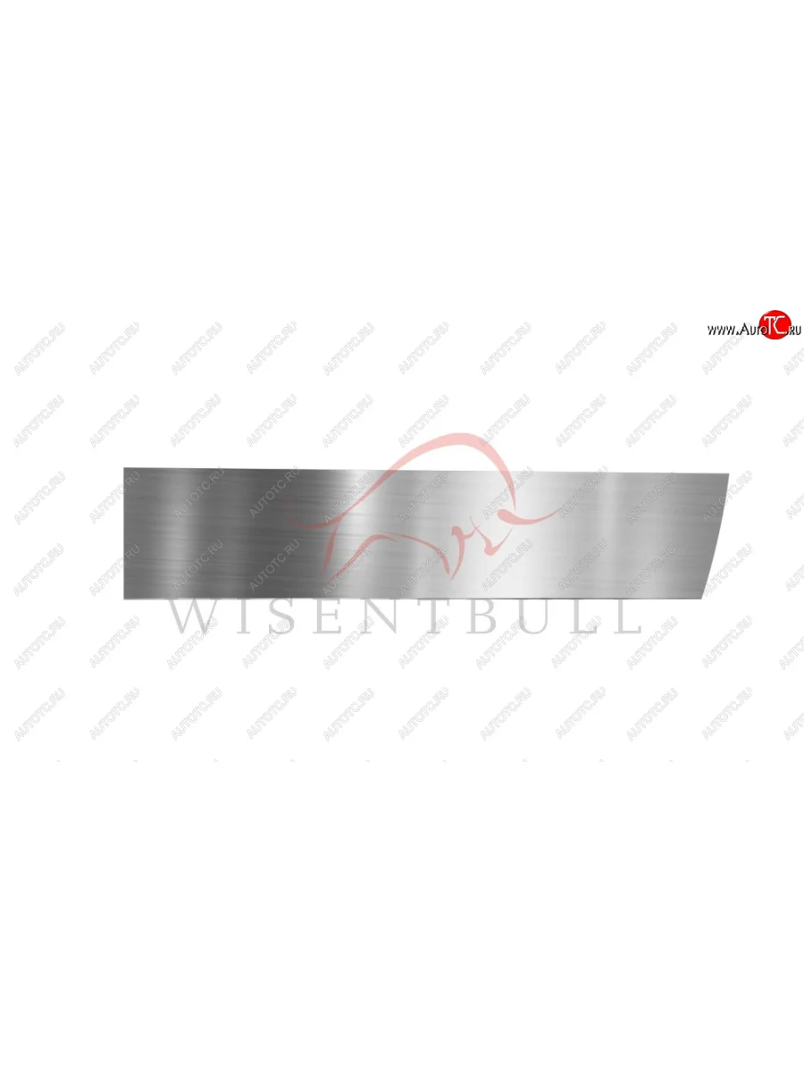 Ремкомплект правой двери Wisentbull CITROEN C3 FC/FN хэтчбэк (2002-2009)  в Керчи Республика Крым