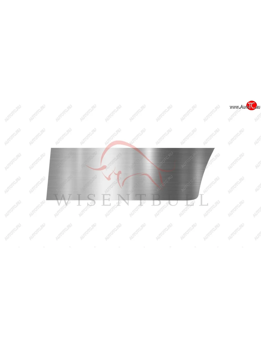 Ремкомплект левой двери Wisentbull  CITROEN C3 (2002-2009) FC/FN  в Керчи Республика Крым