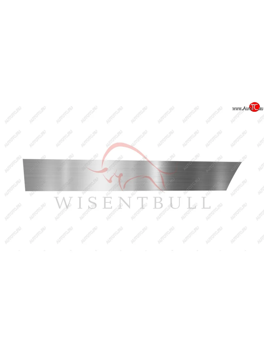 Ремкомплект левой двери Wisentbull  CITROEN Xantia (1992-2002)  в Керчи Республика Крым