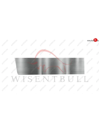 Ремкомплект левой двери Wisentbull Renault Sandero  (BS) (2009-2014)