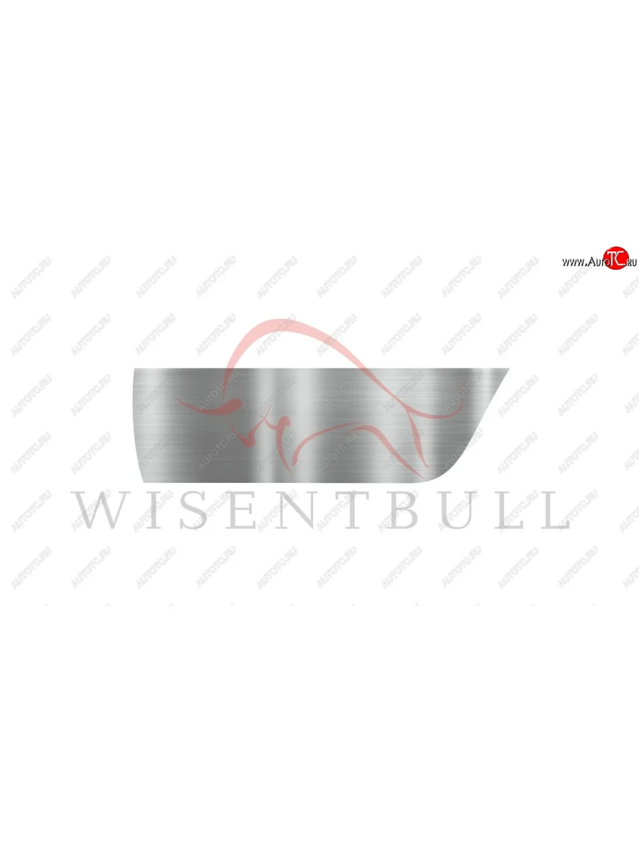 Ремкомплект левой двери Wisentbull Datsun mi-DO хэтчбэк (2014-2021)  в Самаре Самарской области