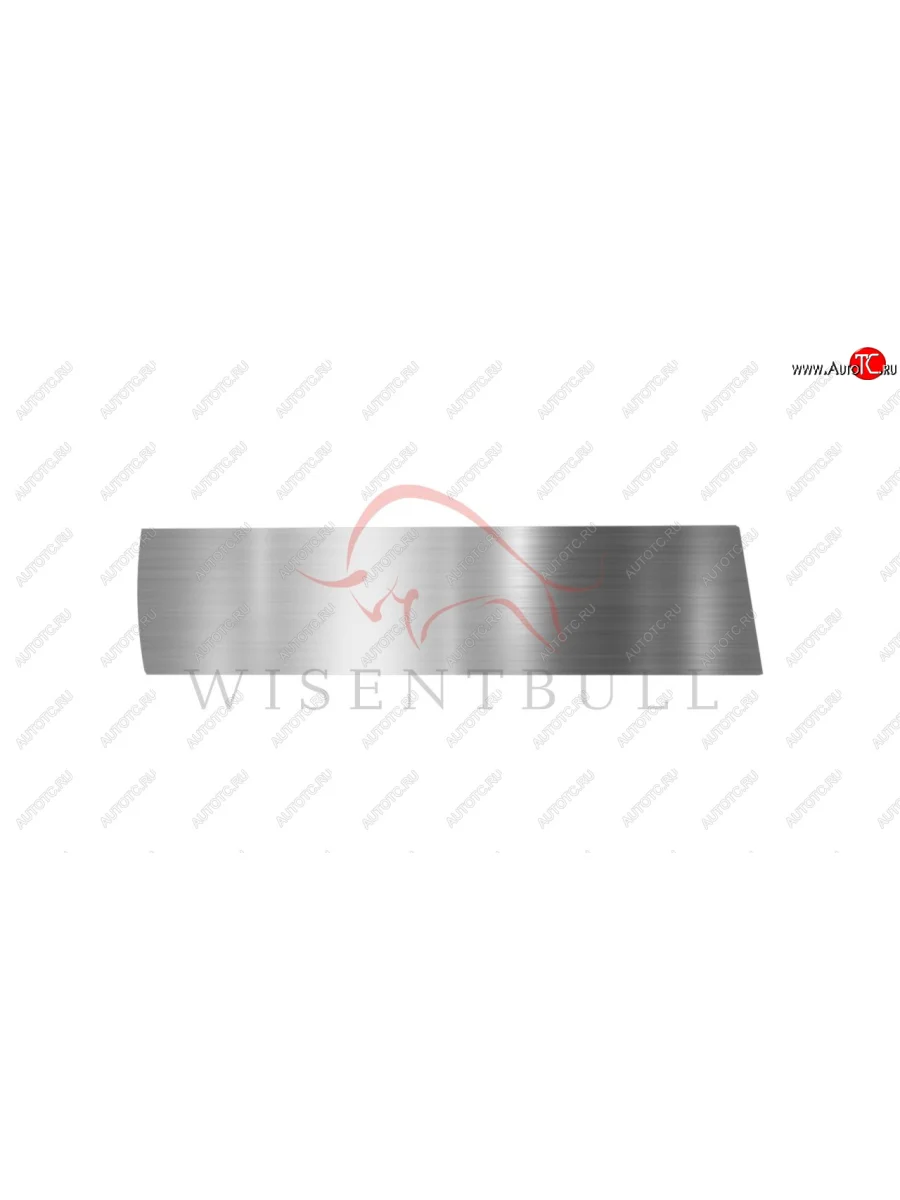 Ремкомплект левой двери Wisentbull Daewoo Nexia рестайлинг (2008-2015)  в Воронеже Воронежской области