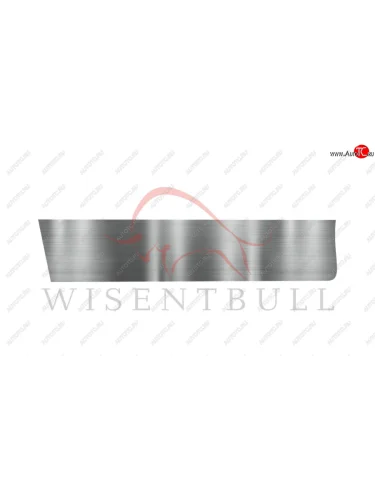 Ремкомплект левой двери Wisentbull Ford Freestar (2003-2007)