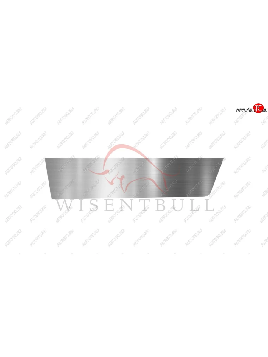 Ремкомплект левой двери Wisentbull Ford Sierra (1982-1994)  в Самаре Самарской области