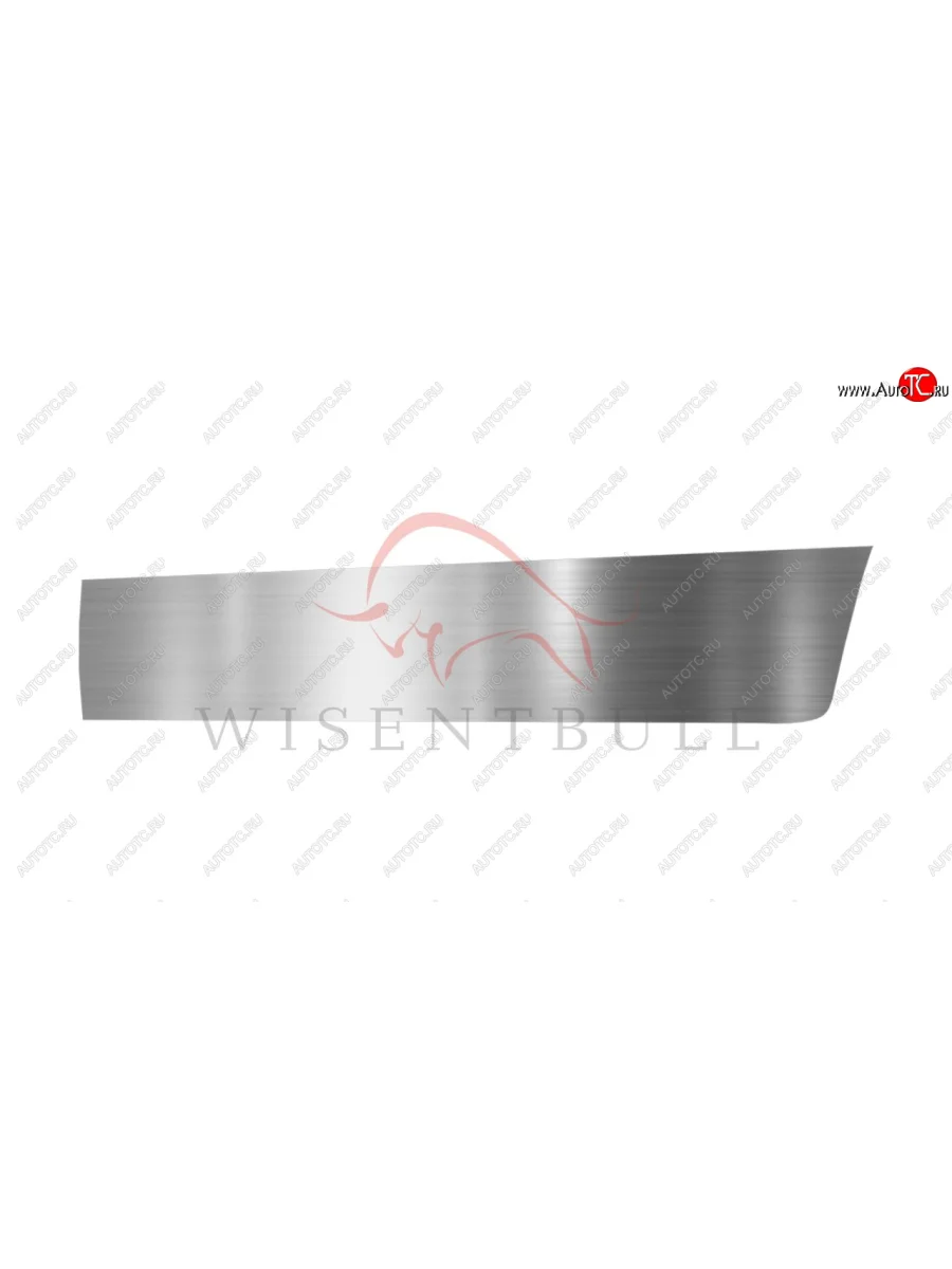 Ремкомплект левой двери Wisentbull  Hyundai Lantra (1995-2000) J2, J3  в Самаре Самарской области